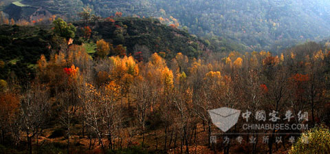 Tianshui Scene