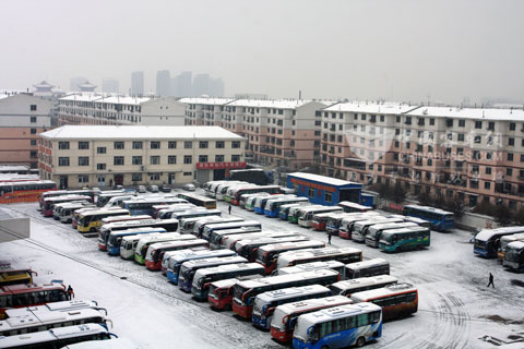  Buses and Snow