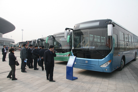 leaders of bus transport company reviewing of buses 