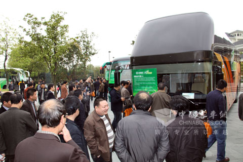 Customers appreciate Golden Dragon Buses