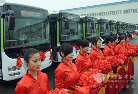 50 new energy buses