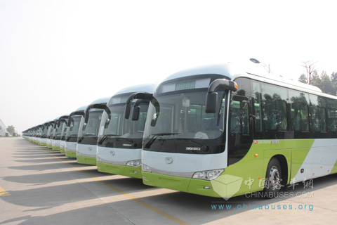 Kinglong buses