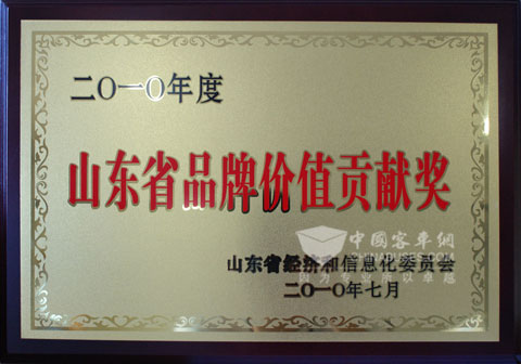 Shandong Province Brand Contribution Value Award