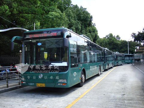 Golden Dragon Hybrid Power City Buses