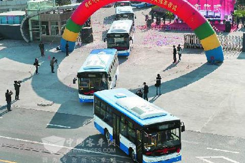 30 Youngman city buses in Jinhua