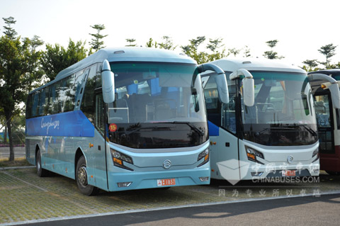 Golden Dragon Buses for Asian Games