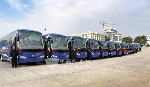 Golden Dragon buses