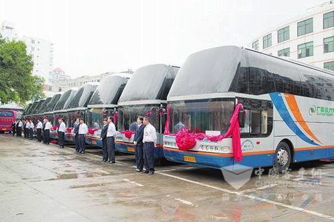 Youngman buses