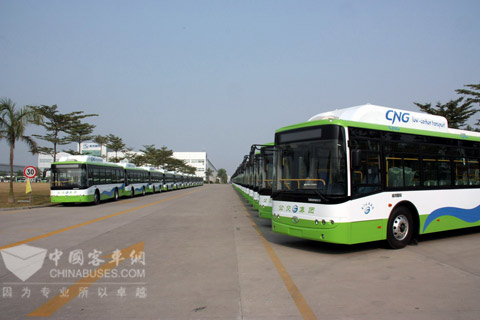 300 King Long CNG buses 