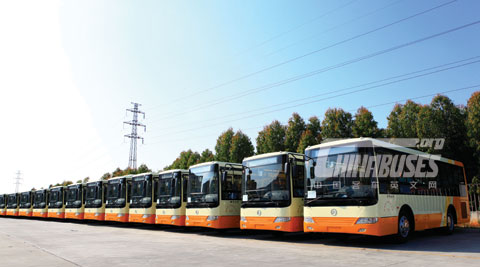 27 units  Golden Dragon buses are ready to go