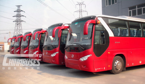 Golden Dragon Buses