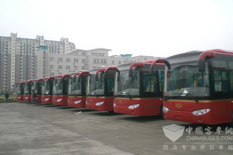 Alfa natural gas bus (National IV)