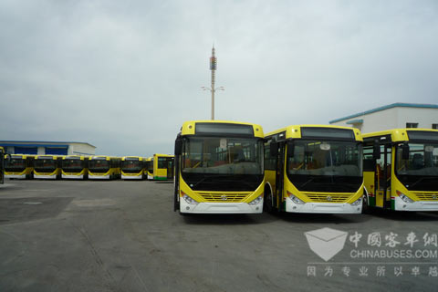 250 Zhongtong CNG Buses