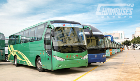 20 units Golden Dragon Buses are ready to carry overseas Journists