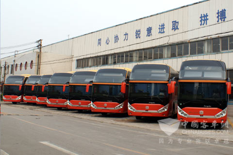 Zhongtong will Export the Polit Series Products