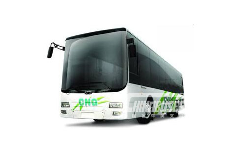 Wuzhoulong FDG6121NCG