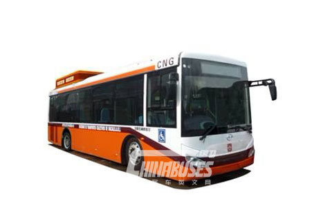 Wuzhoulong  FDG6101CNG