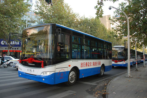 8 meters Youngman Bus