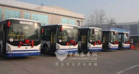 Foton AUV Buses are ready to start 