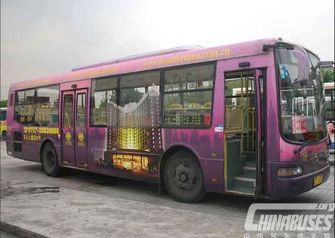 300 buses