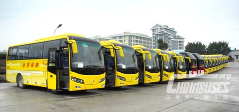Golden Dragon Buses