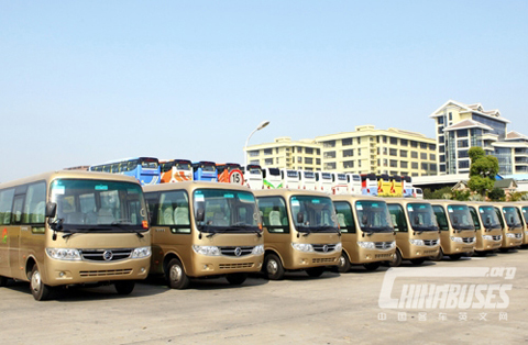 Golden Dragon Buses