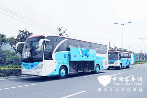 Yaxing YBL6123H coaches