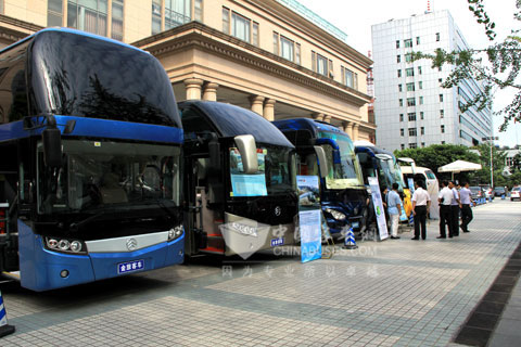 The Golden Dragon Buses