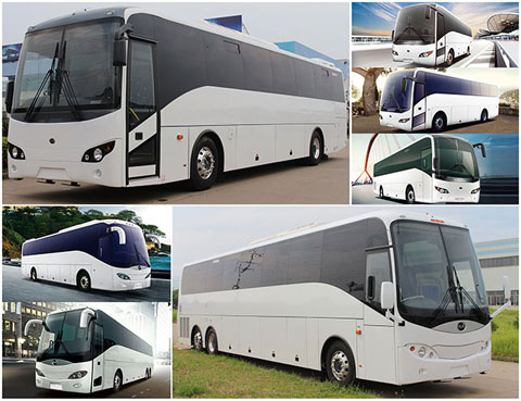 Bonluck Bus: SENATOR&PRESIDENT