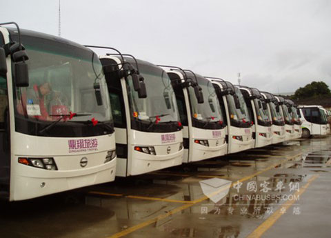 Silverbus