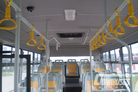 Bonluck bus