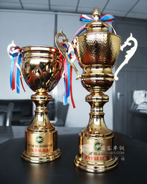 The two awards that Sunlong Bus Wins in Nanjing Exhibition 