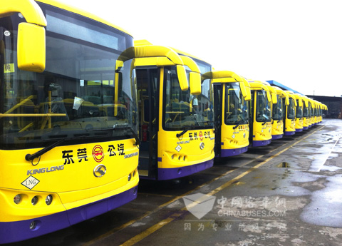 210 King Long LNG Buses Delivered to Dongguan City into Operation