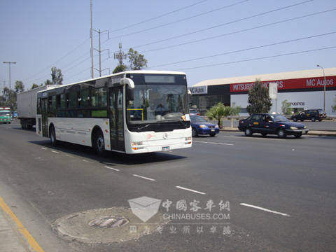 Golden Dragon Running in Lima