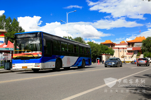 Golden Dragon Splashes in Lhasa