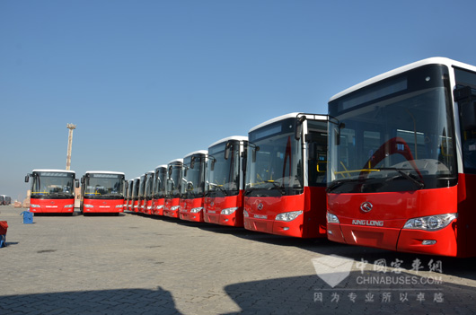 313 Units King Long Buses are Exported to Iraq