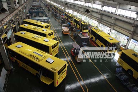 Sunlong buses