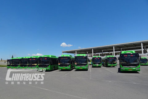 Yutong New Energy Buses Bring More Blue Skies and Fresh Air to Qinhuangdao