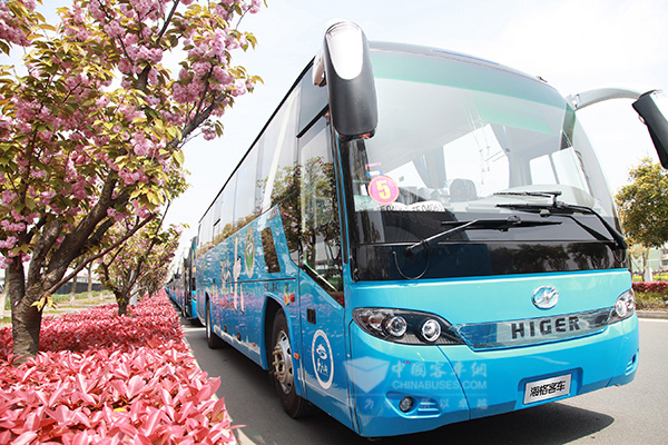 27 Higer Coaches Arrive in Shennongjia for Operation 