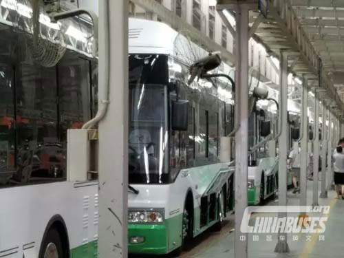 YANGTSE 800 New Energy Vehicles Exported to Central Asia