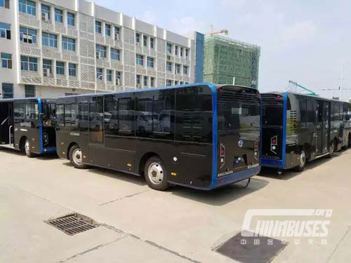 YANGTSE 800 New Energy Vehicles Exported to Central Asia