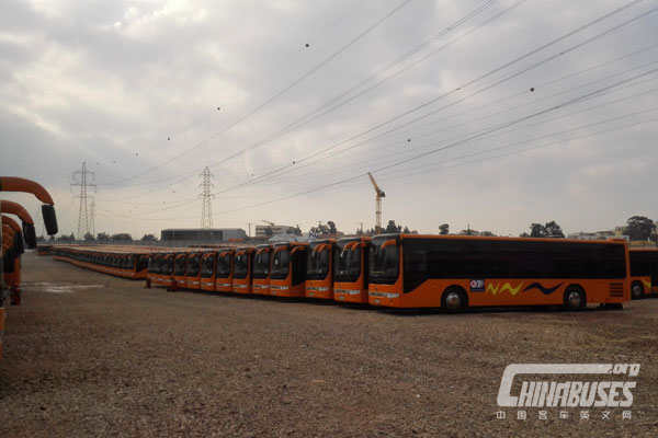 Ankai HK6118G: Recommend "Algeria Star" of China Buses 