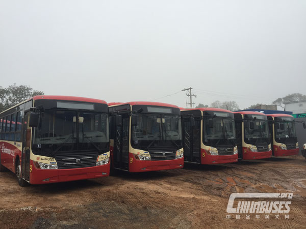 Zhongtong LCK6109DG: Recommend 