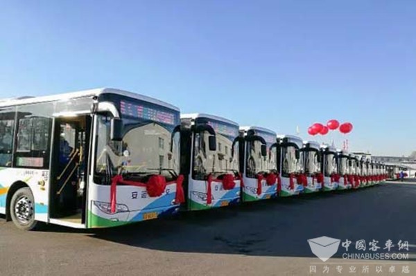 The First Batch of 135 Units King Long New Energy Buses Went Into Operation in Shenyang