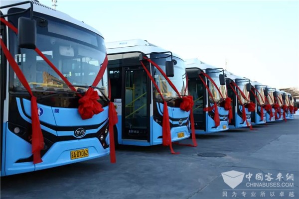 350 Units BYD Electric City Buses Start Operation in Beijing