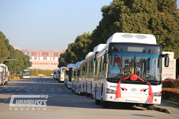 35 Units Higer Buses Exported to Trinidad and Tobago